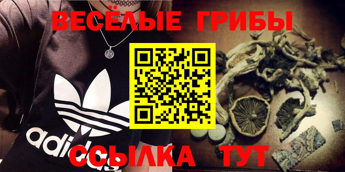 Псилоцибиновые грибы GOLDEN TEACHER Топки
